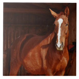 carreau de cheval de grange