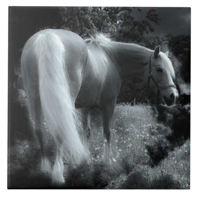 carreau de cheval de nuit mystique (Devant)