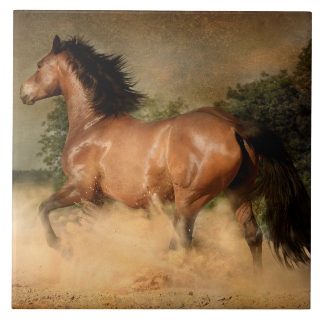 carreau de cheval sauvage (Devant)