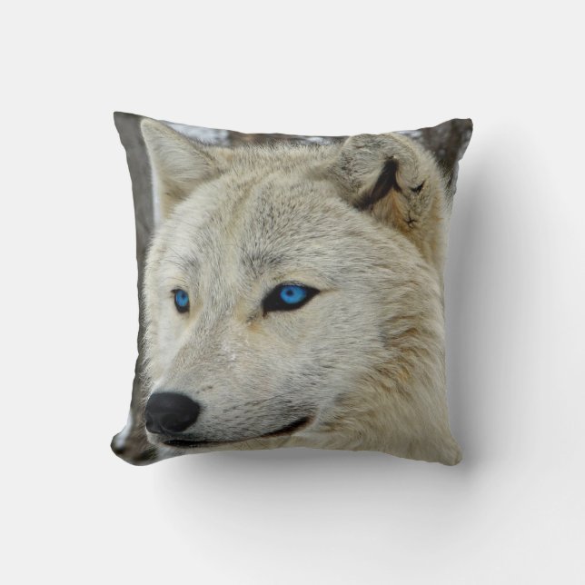 Carreau de coussin observé par bleu de loup blanc (Recto)