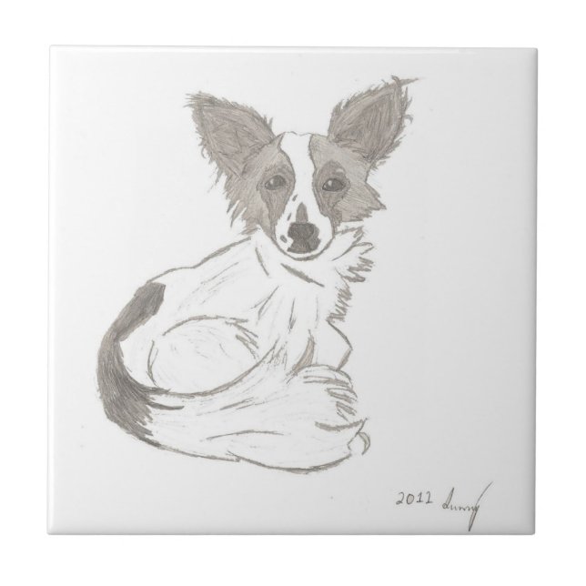 Carreau de croquis Papillon (Devant)