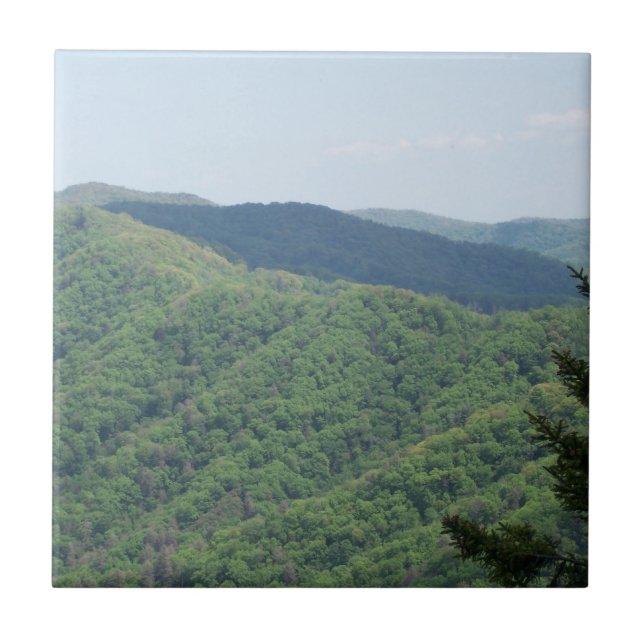Carreau de dessous de plat des montagnes enfumées  (Devant)
