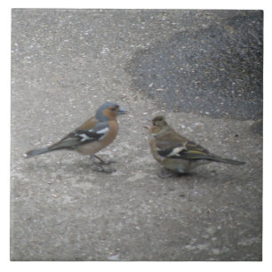 Carreau de l'alimentation de pouce