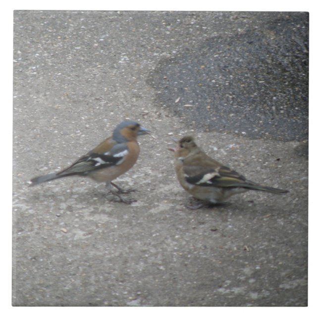 Carreau de l'alimentation de pouce (Devant)