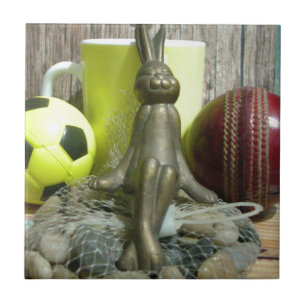 Carreau De l'autre côté du Pitch & Crease : Football Crick