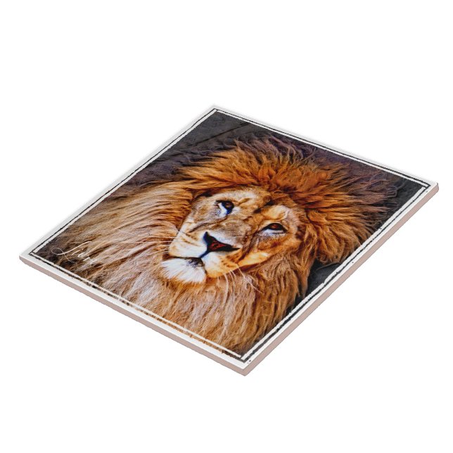 Carreau de lion (Côté)