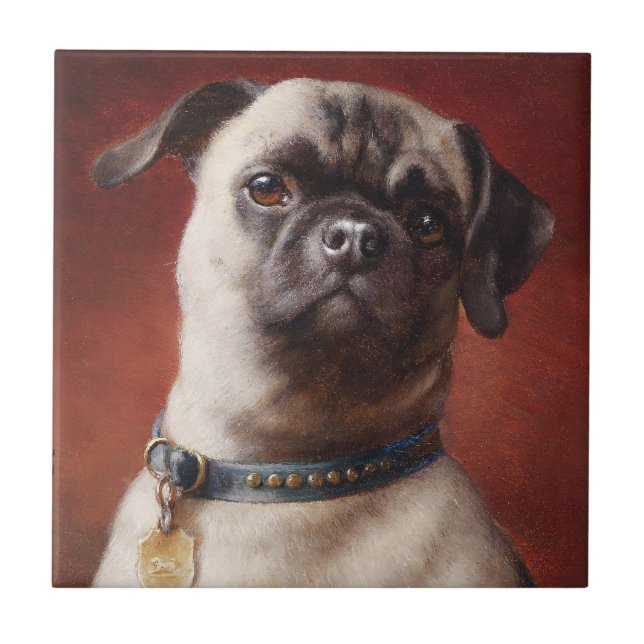 Carreau de Mops (Devant)