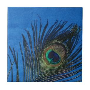 Carreau De paon toujours la vie avec la tuile bleue