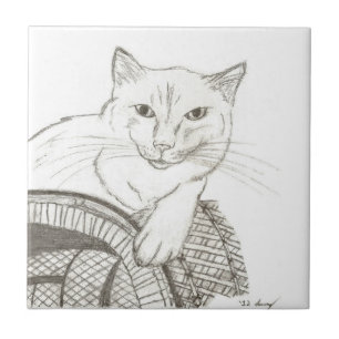 Carreau de portrait de chat Ragdoll