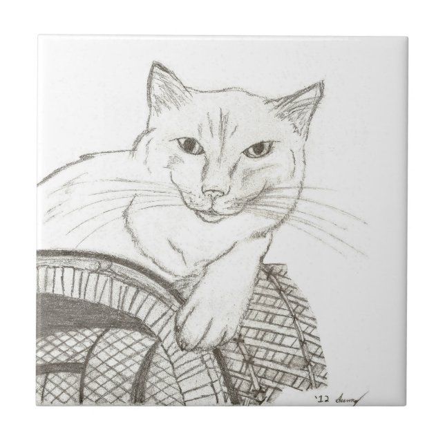 Carreau de portrait de chat Ragdoll (Devant)