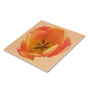 Carreau de tulipe orange