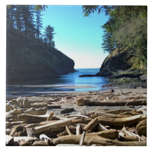 Carreau Dead Man's Cove, Cape Disdéception, WA (Devant)