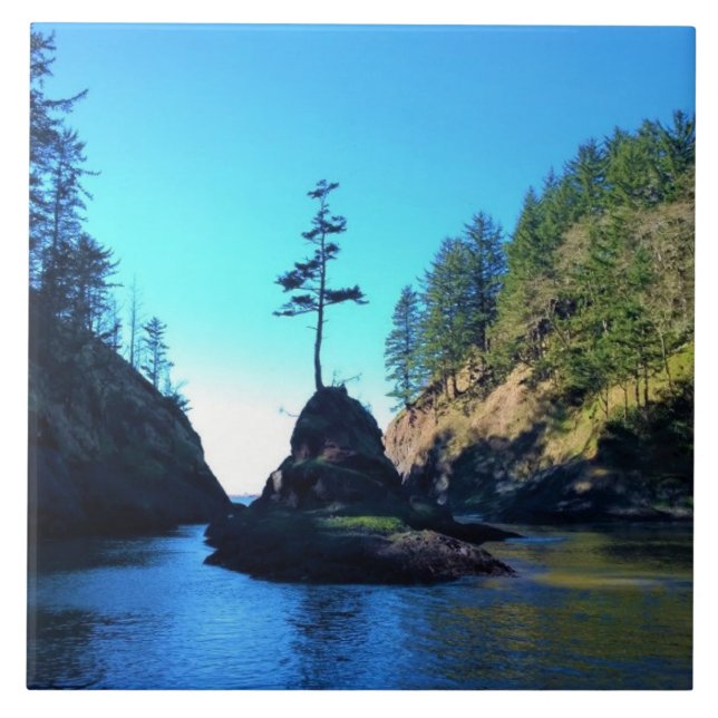 Carreau Dead Man's Cove, Cape Disdéception, WA (Devant)