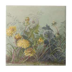 Carreau Deborah Griscom Passmore Aquarelle Album Pl.60