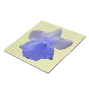 Carreau Déchets Daffodil Carrelage Bleu