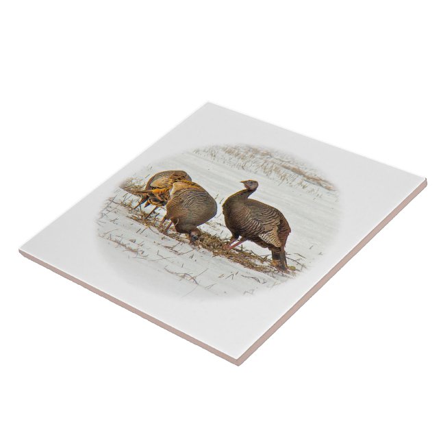 Carreau Déchets sauvages en neige (Côté)