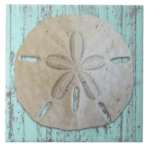 Carreau Décor de dollar de sable esthétique de plage