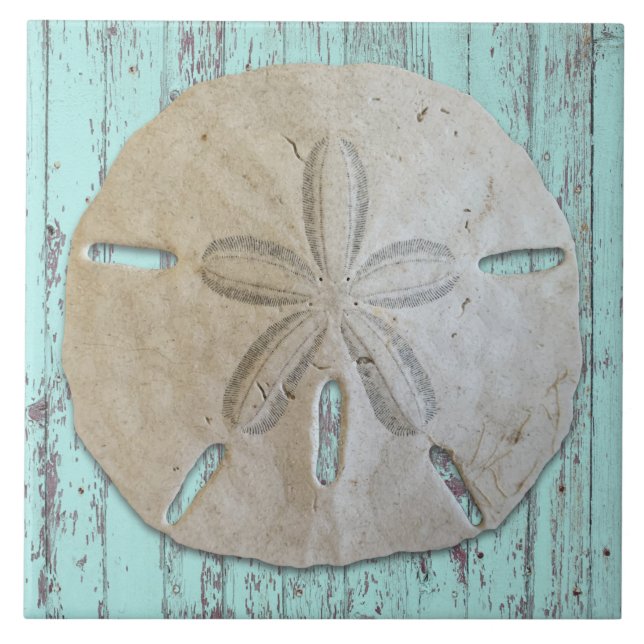 Carreau Décor de dollar de sable esthétique de plage (Devant)