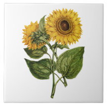Décor rustique de tournesol