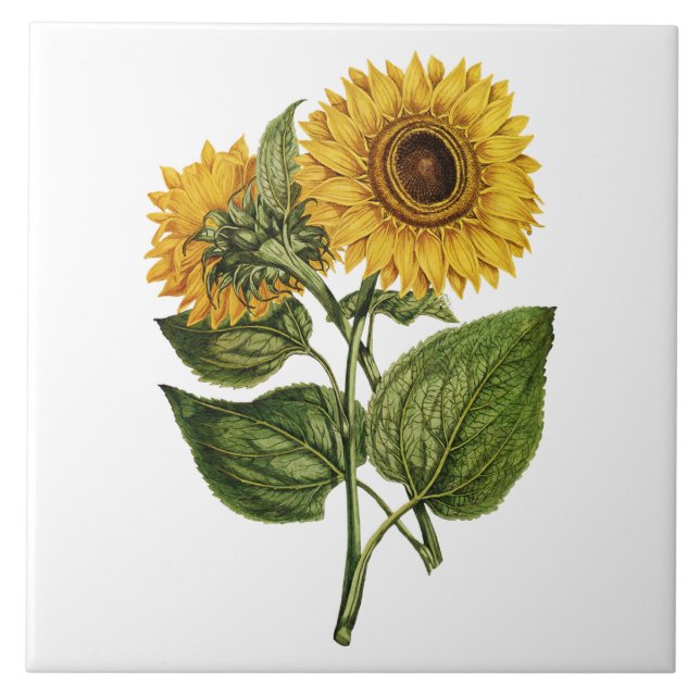 Carreau Décor rustique de tournesol (Devant)