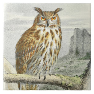 Carreau Décoration d'animal de hibou vintage
