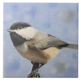Carreau Dee de dee de Chickadee