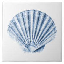 Delft Blue Clam Sea Shell Nautical Beach House