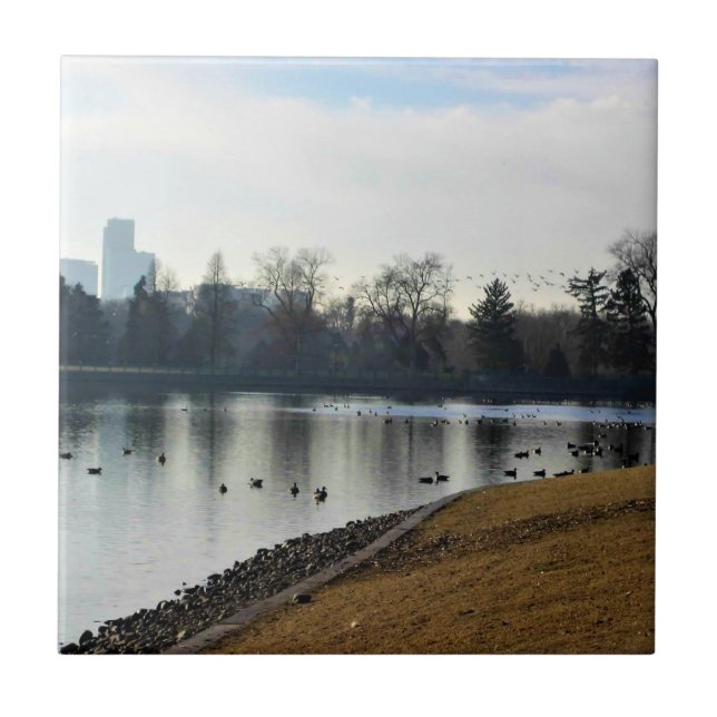 Carreau Denver City Park (Devant)