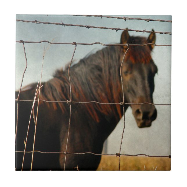 Carreau Derrière la clôture, cheval abstrait (Devant)