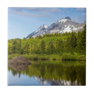 Carreau Des pics de montagne se reflètent dans un étang de