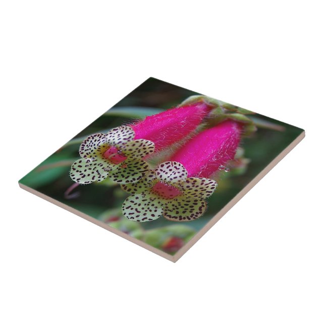 Carreau Design de fleurs léopard (Côté)