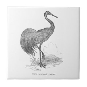 Carreau Dessin à la plume et à l'encre d'un oiseau grue vi