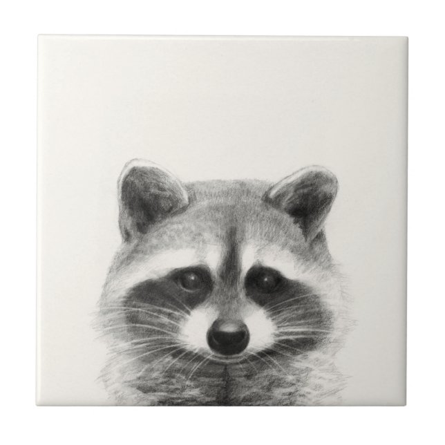 Carreau Dessin au crayon de Raccoon (Devant)