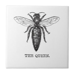 Carreau Dessin classique de l'illustration de Queen Bee