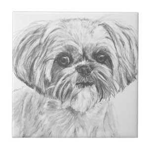 Carreau Dessin de Shih Tzu