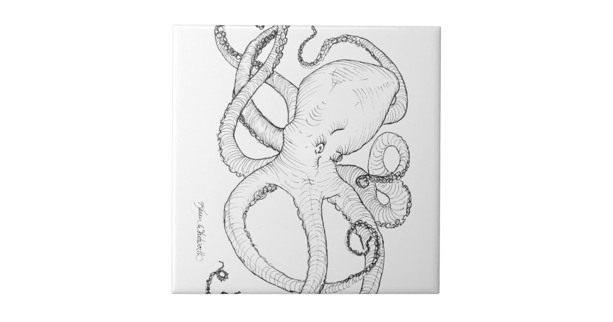 Carreau Dessin D Encre De Poulpe Noir Et Blanc Zazzle Fr
