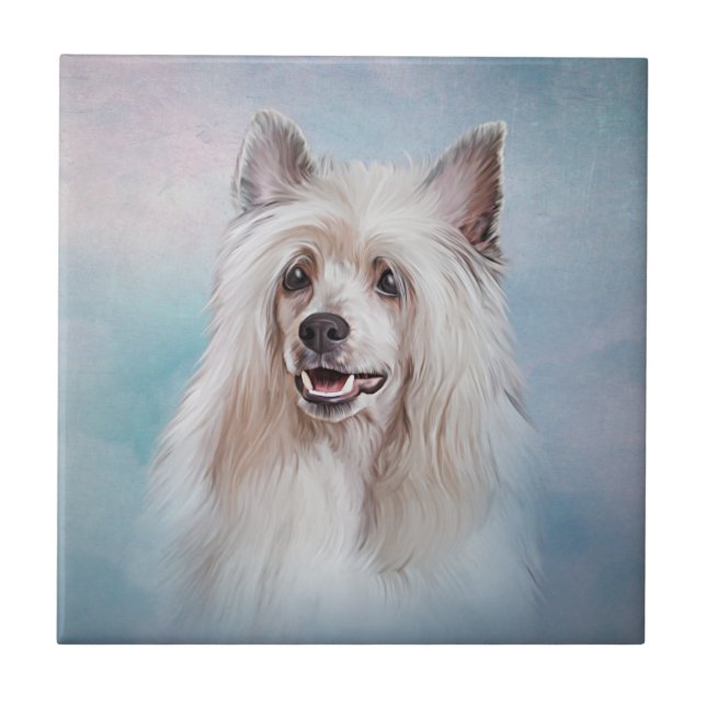 Carreau Dessin d'un chien à crête chinoise - Souris-cadeau (Devant)