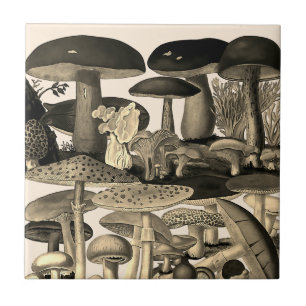 Carreau Dessin vintage de champignons