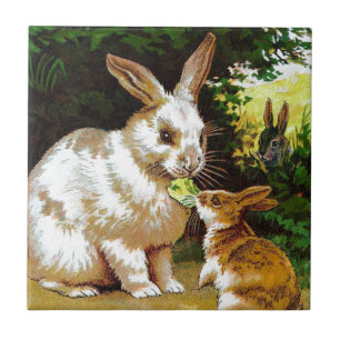 Carreau Dessin vintage : Petits lapins