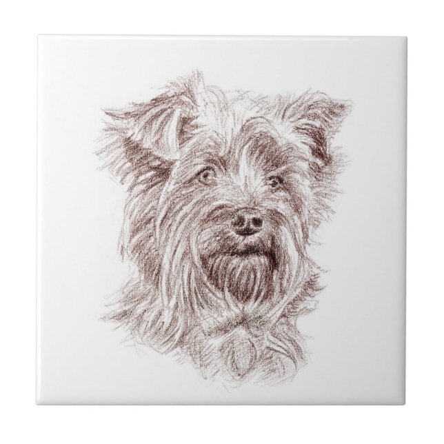 Carreau Dessin Yorkshire Terrier (Devant)