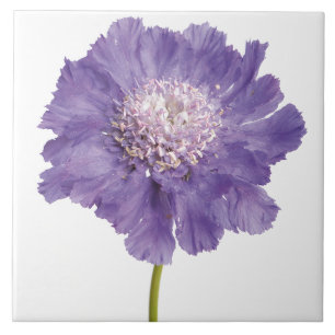 Carreau Dessous de verre en céramique violet Flower
