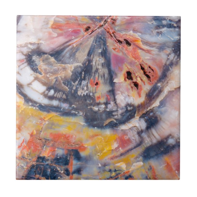 Carreau Détail de bois pétrifié, Arizona (Devant)