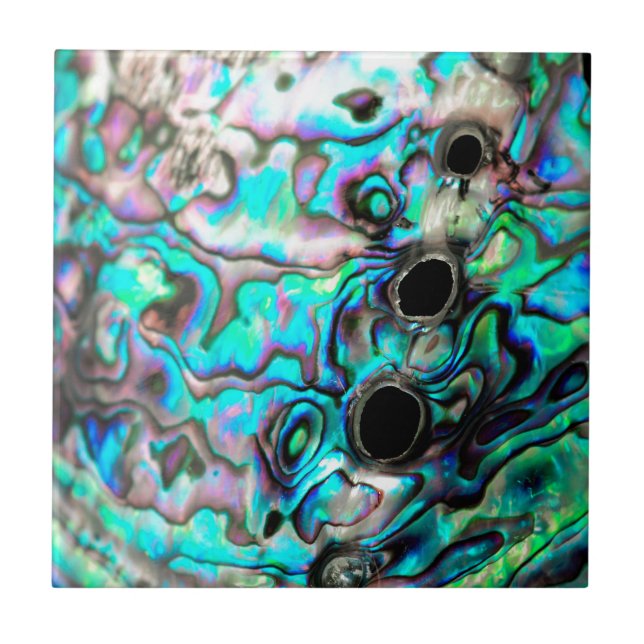 Carreau Détail de la nature des coquillages (Devant)