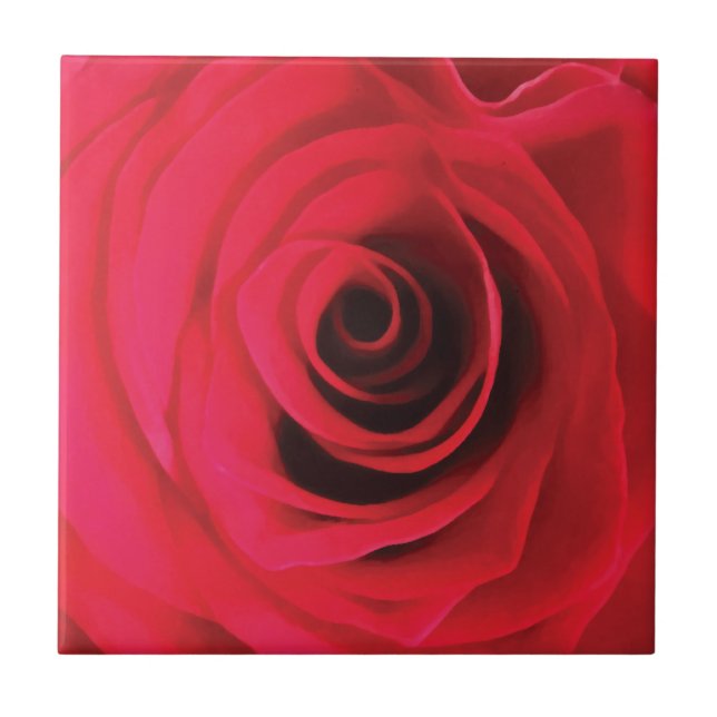 Carreau Détail du bourgeon rose d'aquarelle rouge chaud (Devant)