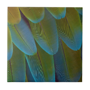 Carreau Détail du motif de la plume de perroquet macaw