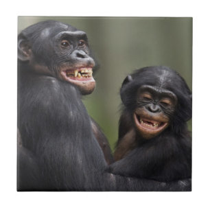 Carreau Deux bonobos de sourire