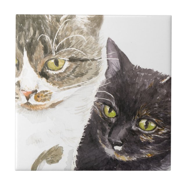 Carreau Deux chats - tigré et écaille de tortue (Devant)