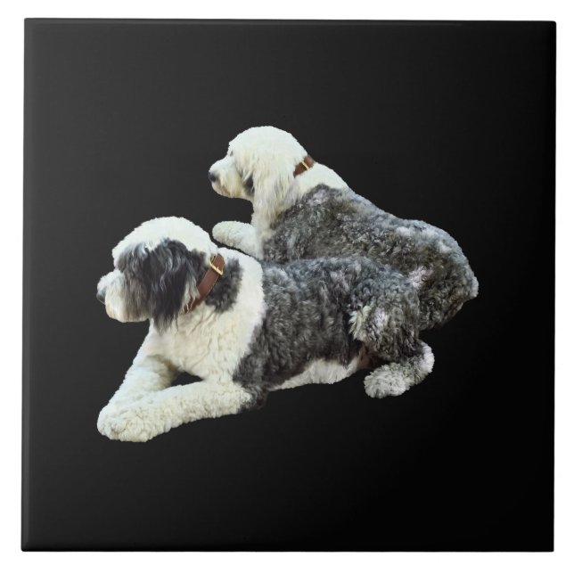 Carreau Deux chiens de berger (Devant)
