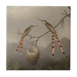 Carreau Deux colibris avec leurs jeunes