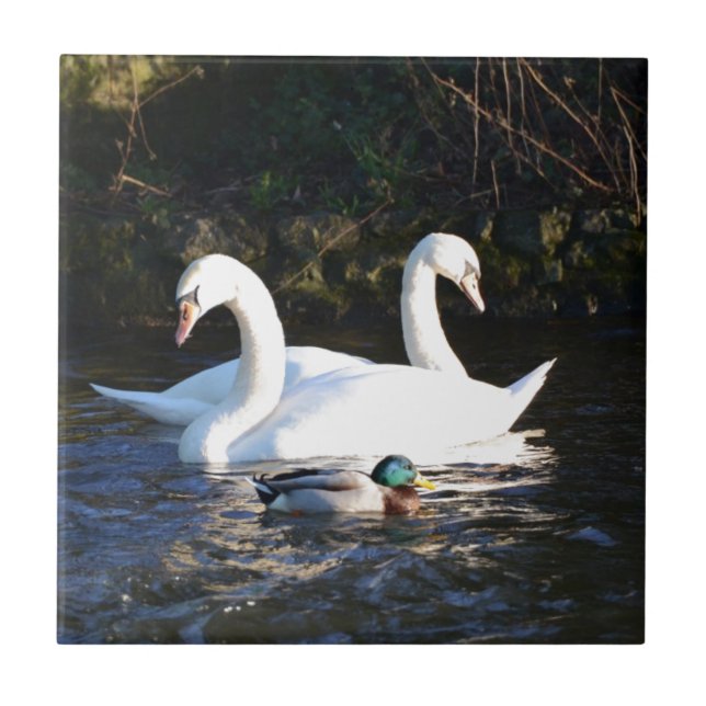 Carreau Deux cygnes et un canard (Devant)